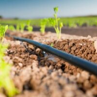 مناقصه سیستم آبیاری مزرعه در کشور عمان